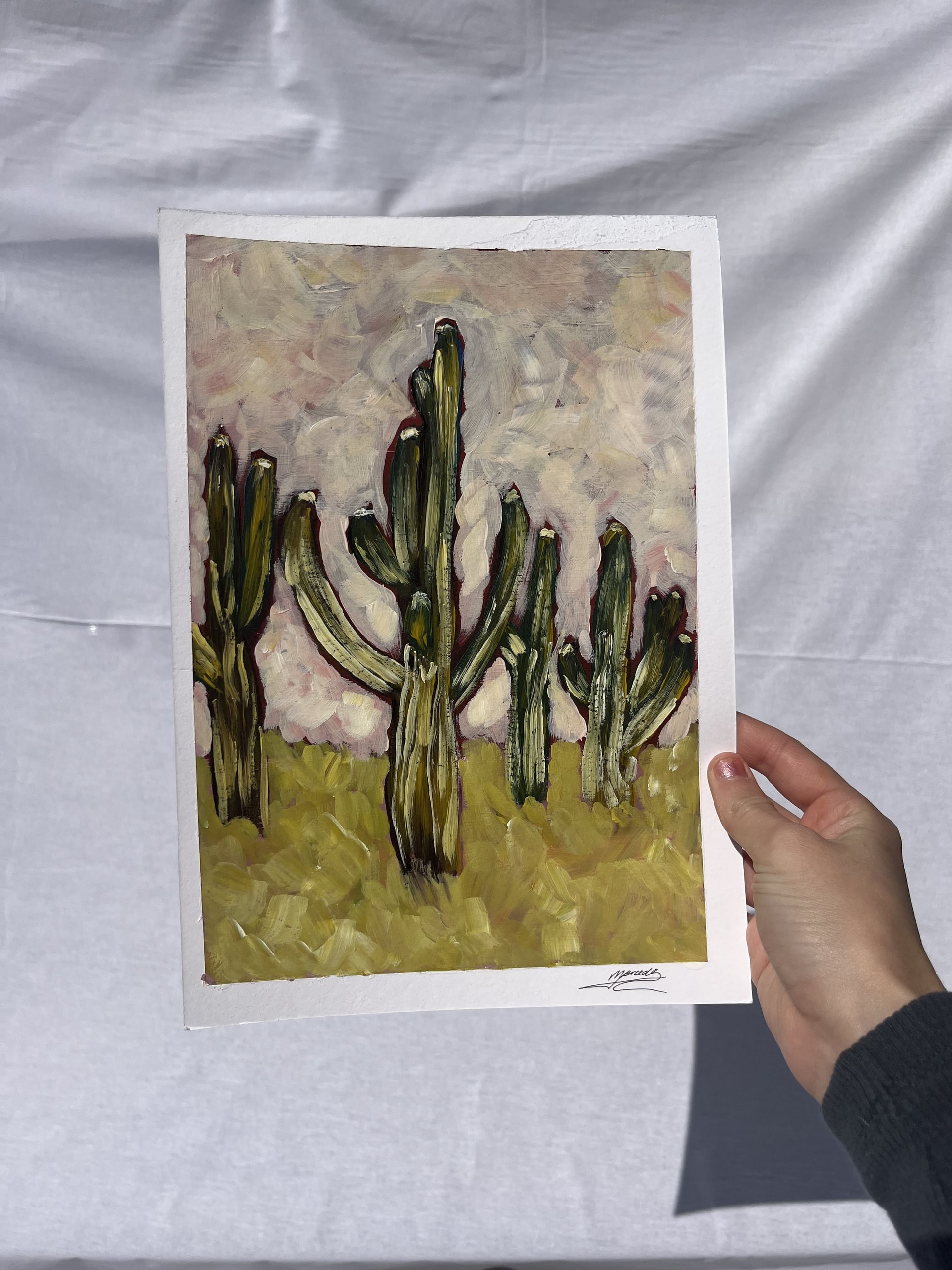 Saguaro cacti by Mercedes Michel — alternate view 2