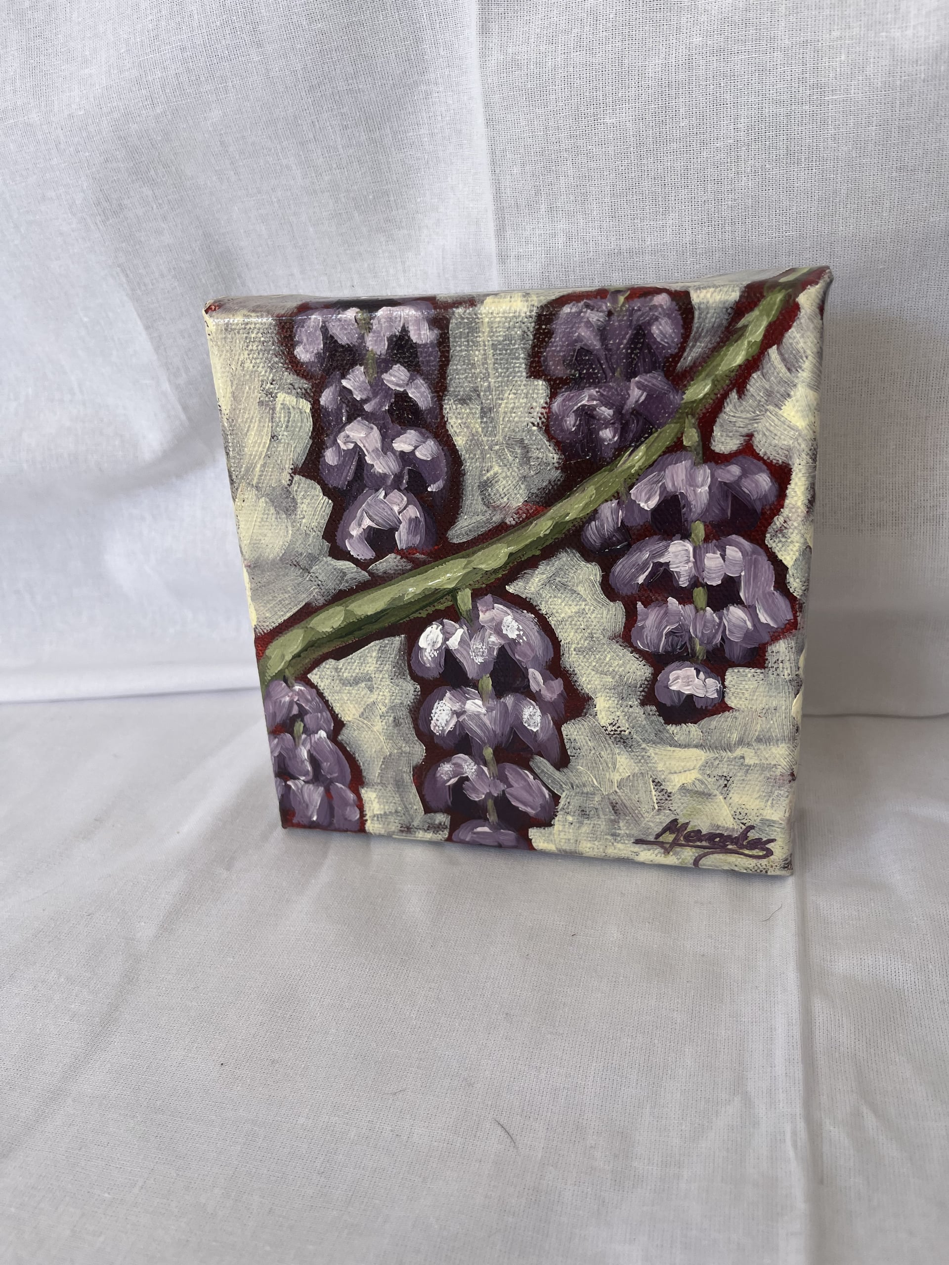 Wisteria in bloom by Mercedes Michel — alternate view 2