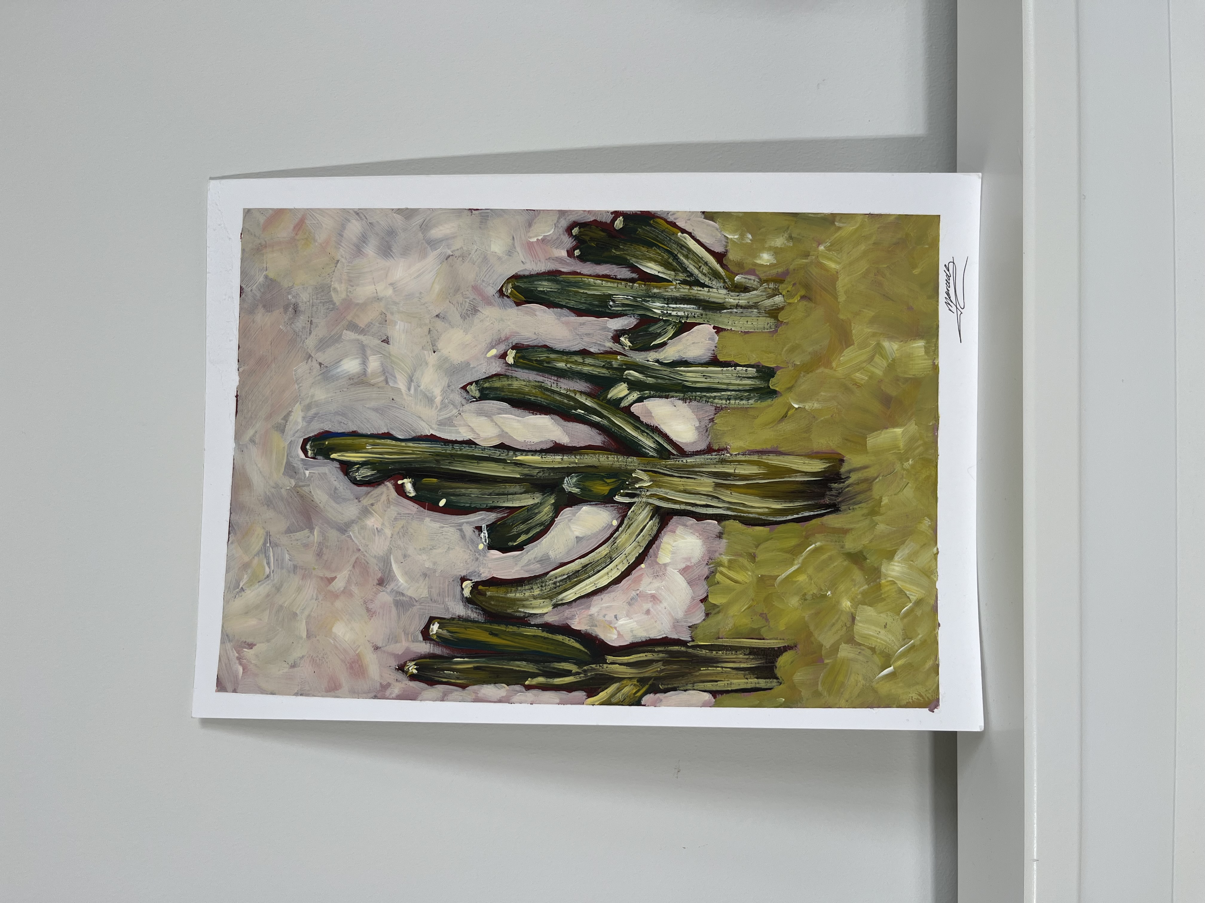 Cactus Fields