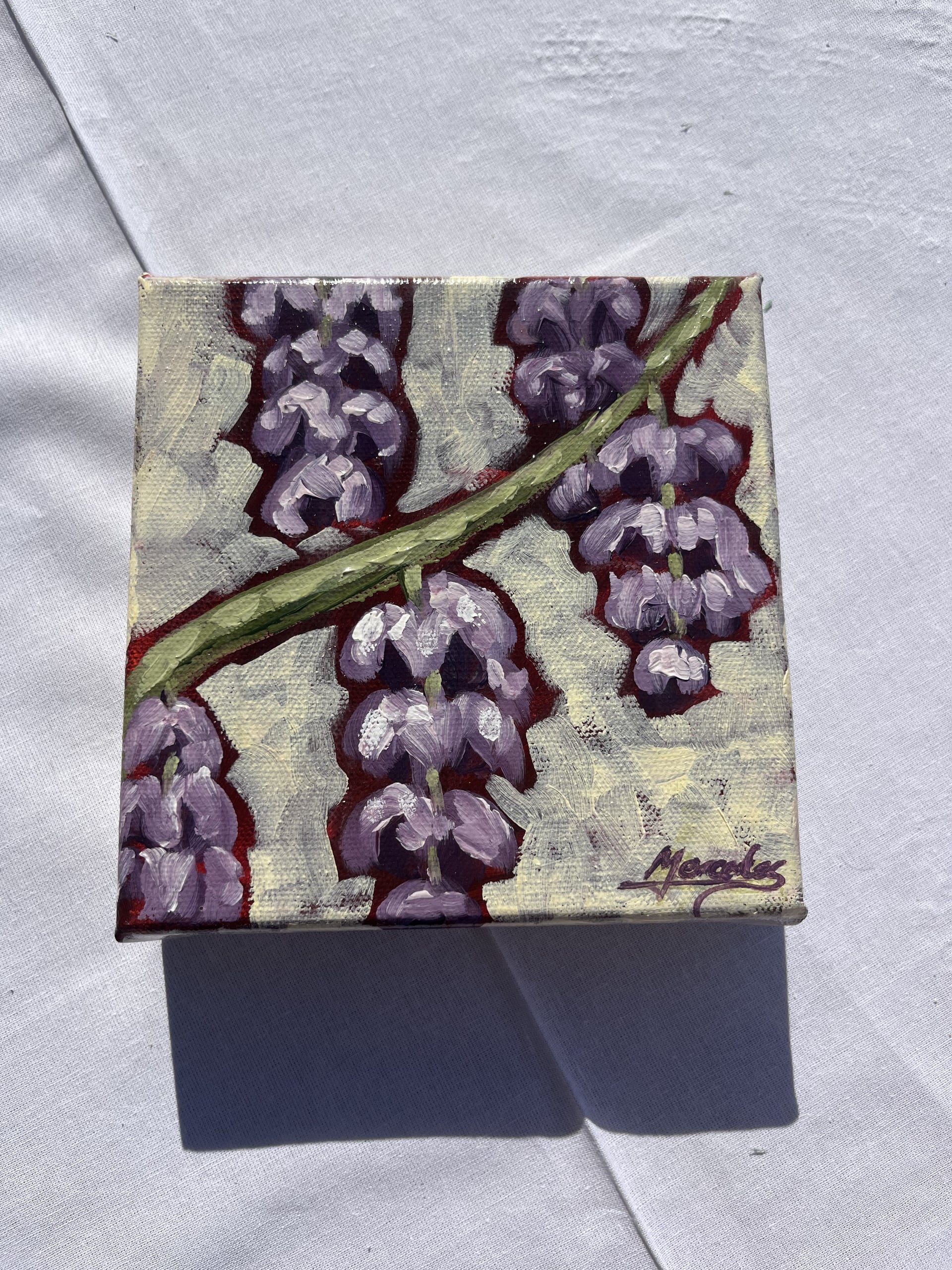 Wisteria in bloom by Mercedes Michel — alternate view 4