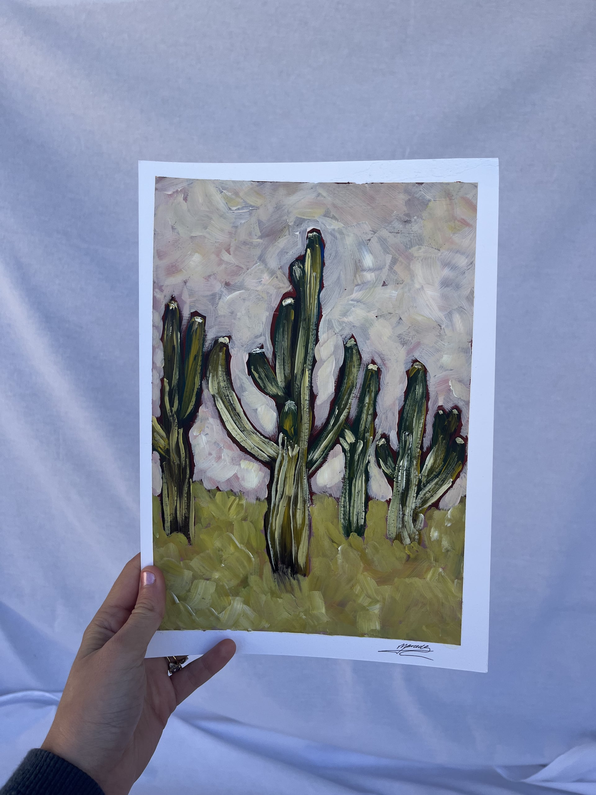 Saguaro cacti by Mercedes Michel — alternate view 3