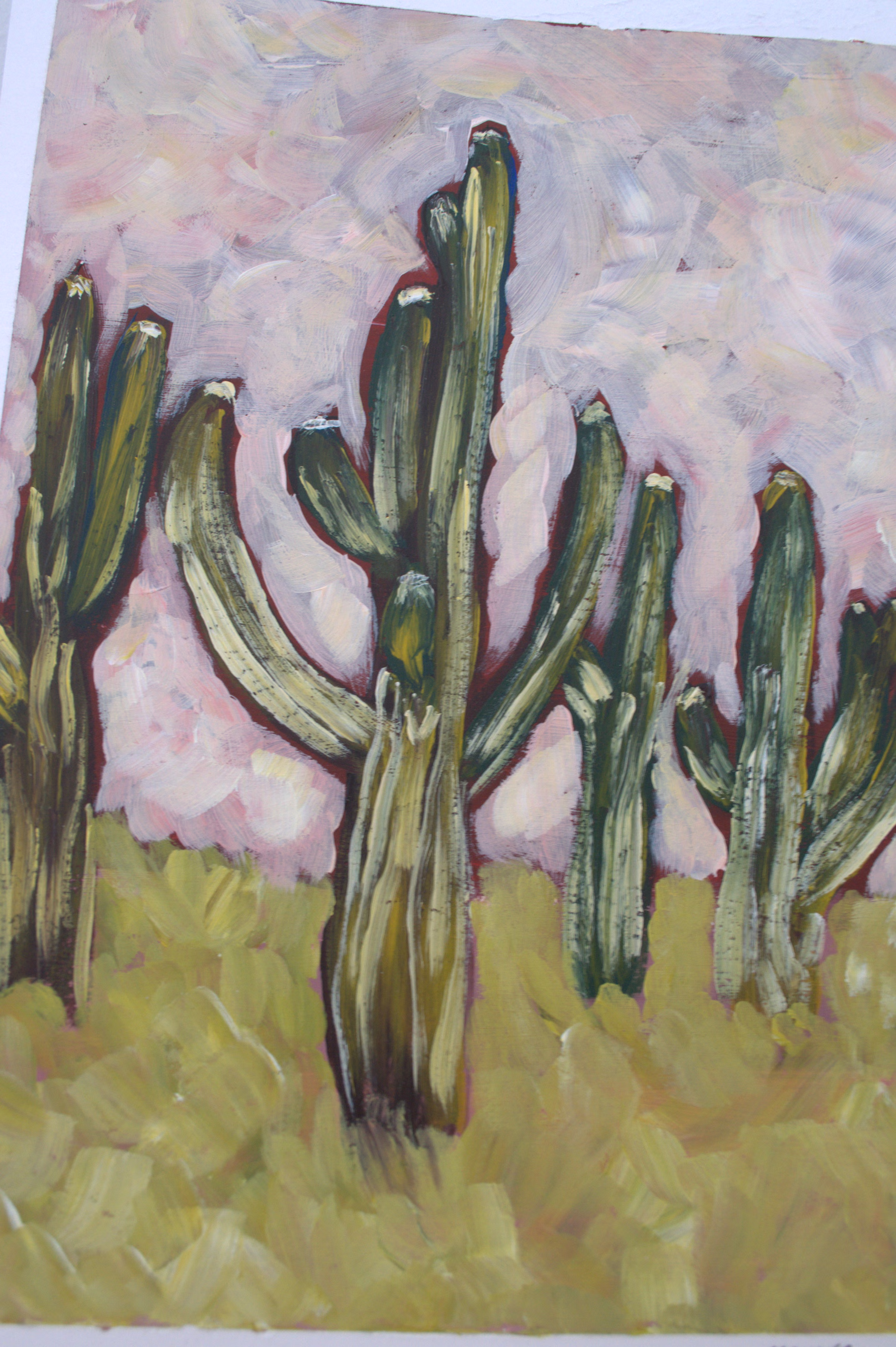 Saguaro cacti by Mercedes Michel — alternate view 4